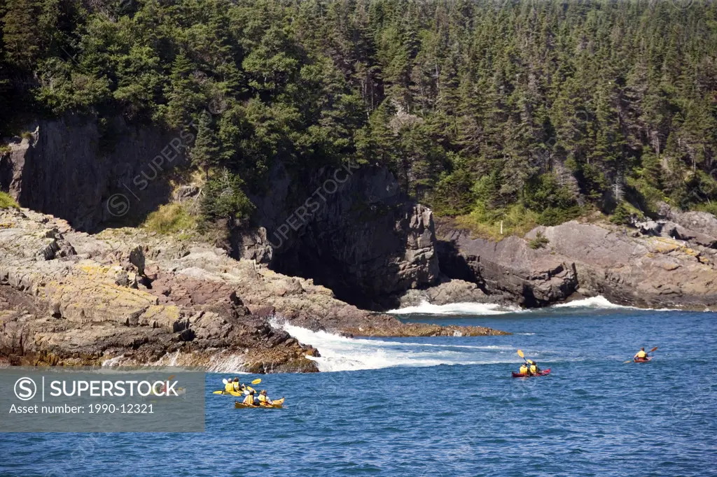 Kayaking, Witless Bay Ecological Reserve, Newfoundland, Canada, people, Coastline