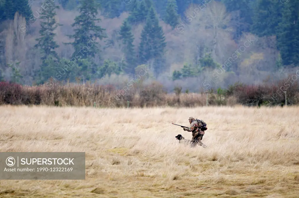 A man and his black lab hunting near Cowichan Bay, BC.