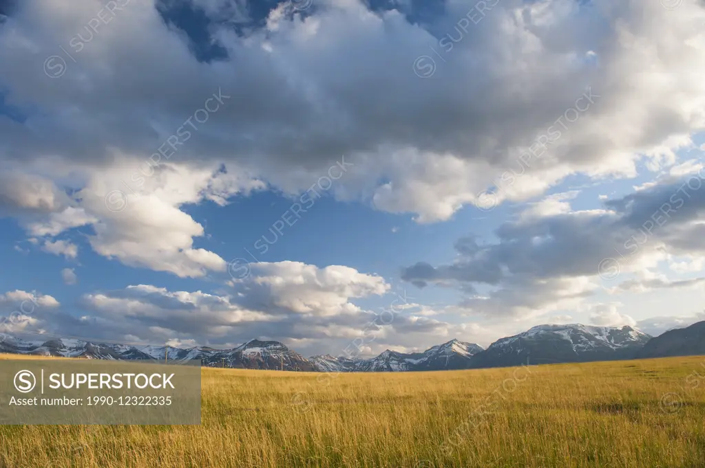 Prairlie Grassland, Waterton Lakes National Park, Rocky Mountains