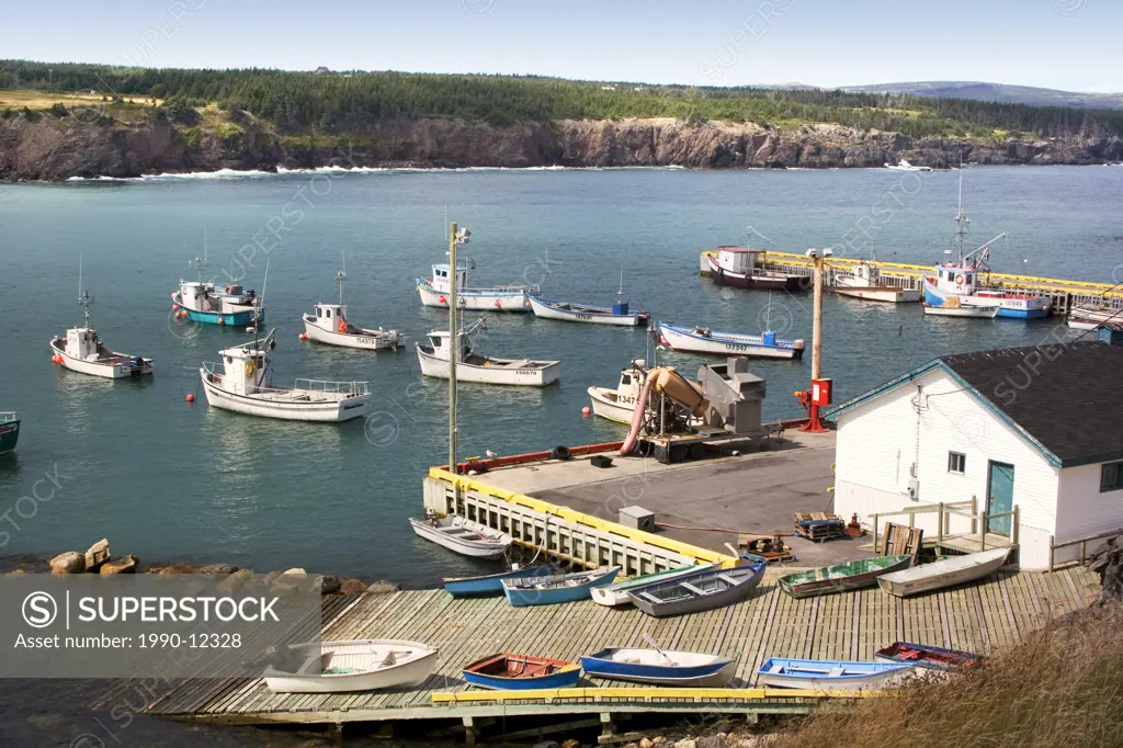 Ochre Pit Cove, Newfoundland, Canada, Harbour, Fishing boats, Commercial fishery