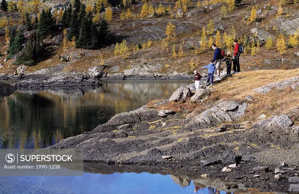 Family hiking in autumn larches at Sunshine Meadows, Mount Assiniboine Provincial Park, British Columbia, Canada