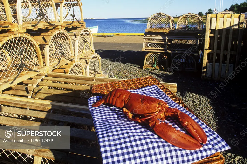 Cooked Lobster on wharf, North Rustico, Prince Edward Island, Canada
