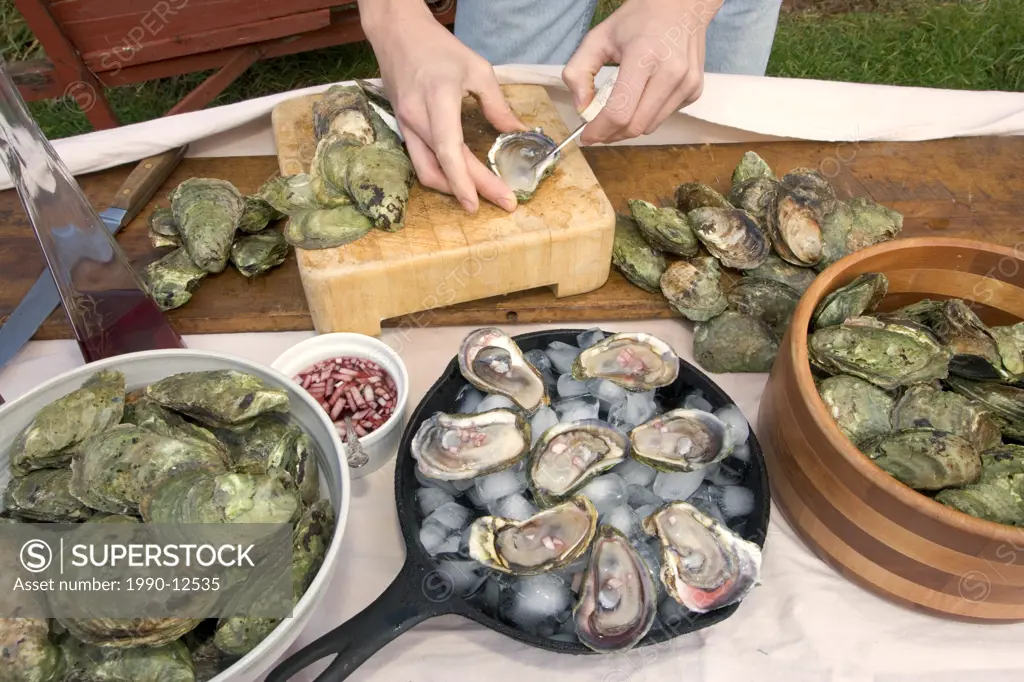 Cultured oysters, shellfish, Food