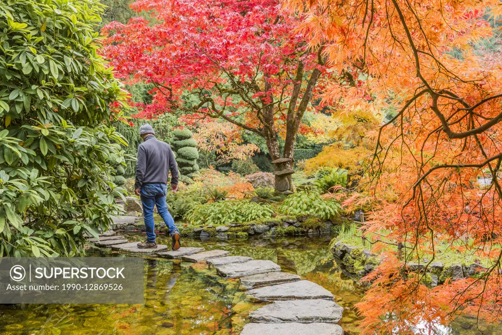 Fall colour, Japanese Garden, Butchart Gardens, Brentwood Bay, Vancouver Island, British Columbia, Canada