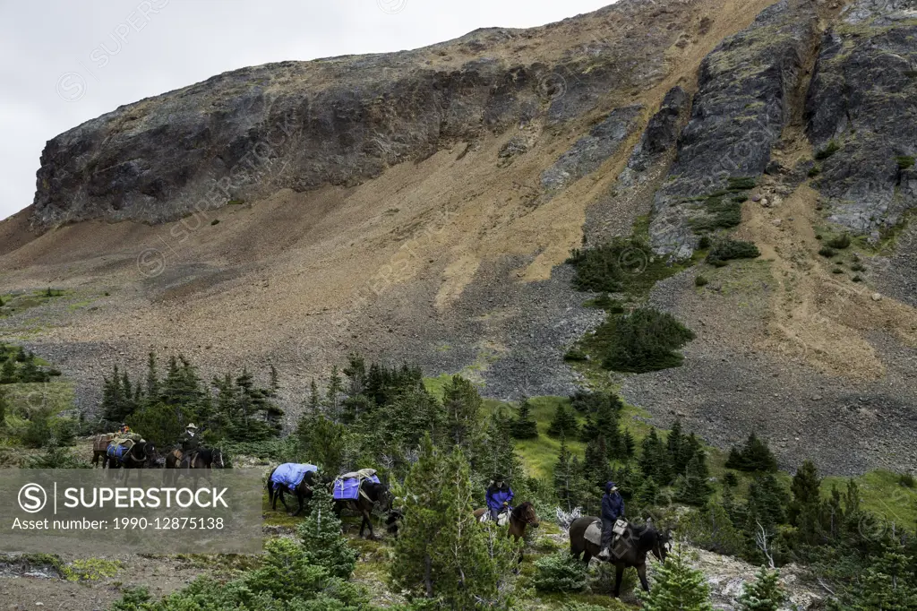 Canada, British Columbia, Tweedsmuir Park, Chilcotin region, Chilcotin Ark, Rainbow Mountains, pack outfitter, horse pack outfitter, pack horse, horse...