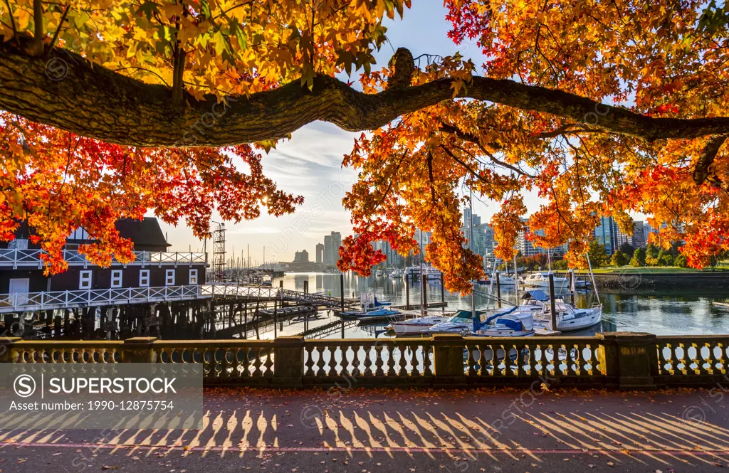 Sea wall at Coal Harbour in autumn.