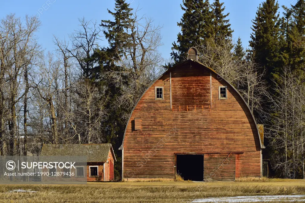 A spring time landscape image of an old barn and shed on a farm in rural Alberta Canada.