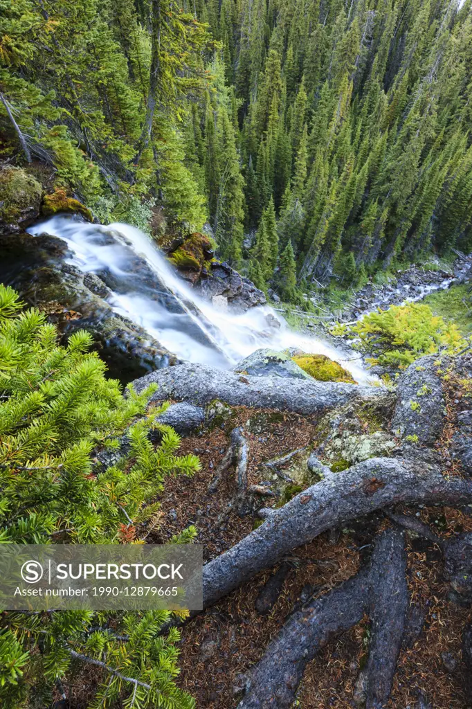 A stream flowing from Scarab Lake cascades into the valley near Egypt Lake, Banff National Park, Alberta, Canada.