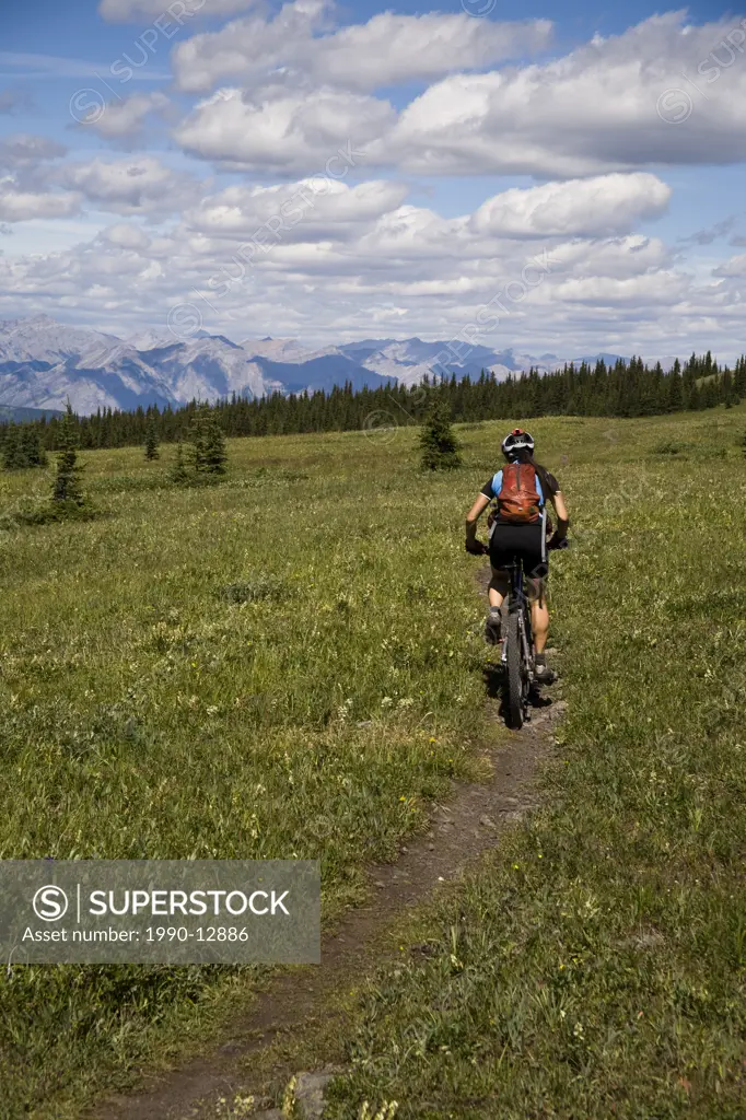 A young woman biking the scenic Jumping Pound Ridge, Kananaskis Country, Rocky Mountains, Calgary, Alberta, Canada.