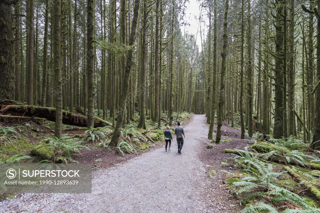 Couple hiking in Golden Ears provincial park, Maple Ridge, British Columbia, Canada