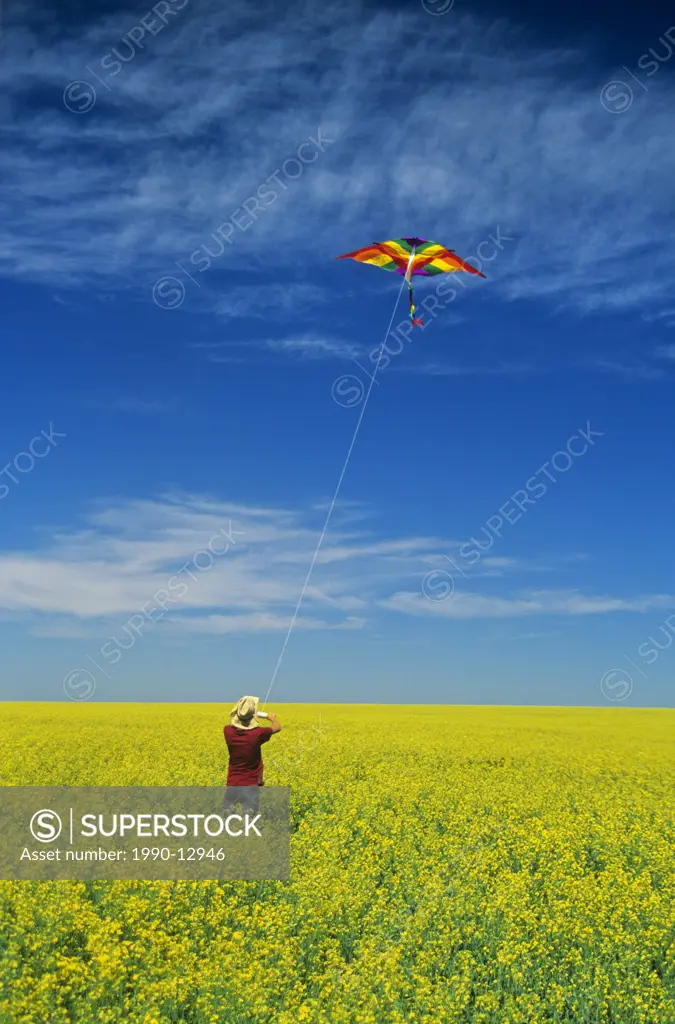 a teenage farm girl flies a kite in a bloom stage canola field, near Somerset, Manitoba, Canada