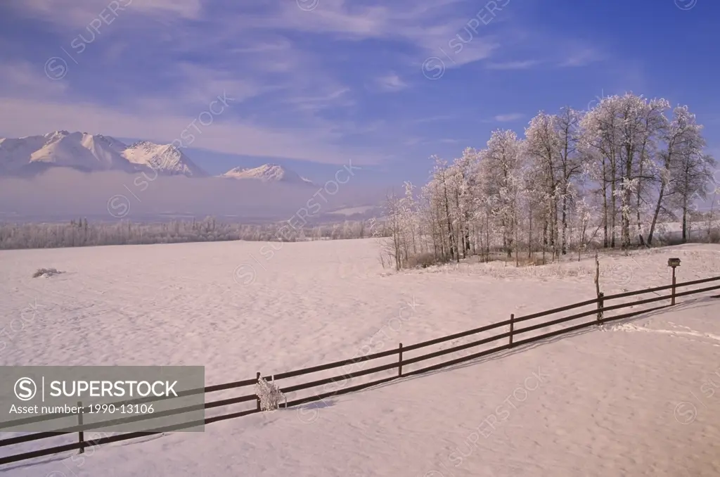 Winter scene of Bulkley Valley, British Columbia, Canada.