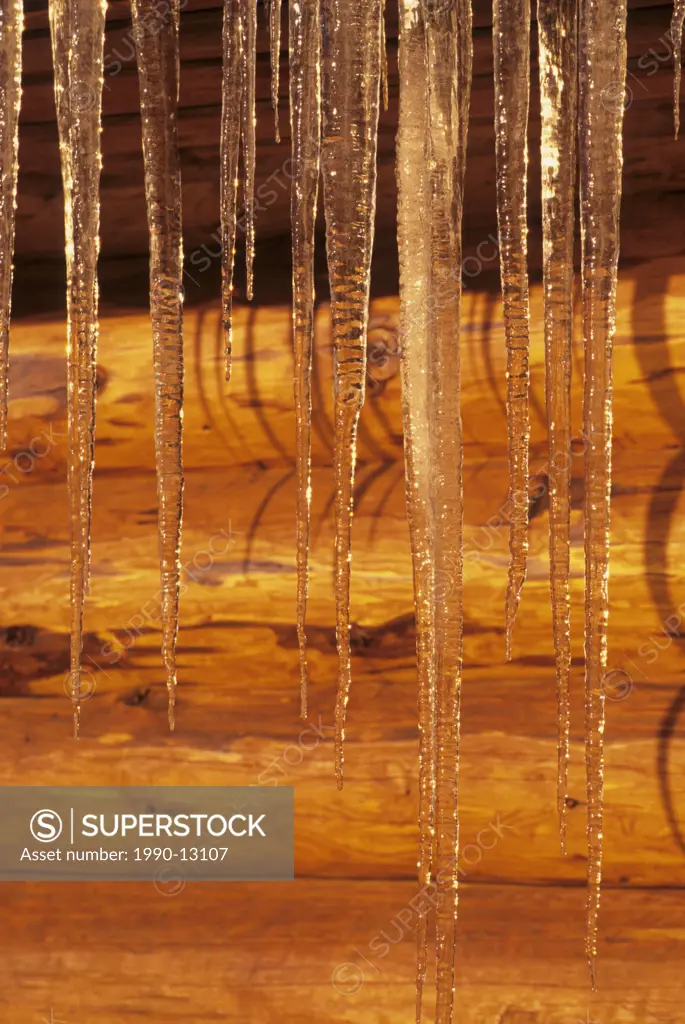 Icicles hanging from roof of log house, Smithers, British Columbia, Canada.