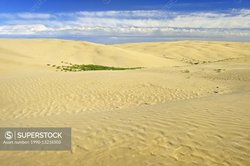 Sand dunes Great Sand Hills Saskatchewan Canada