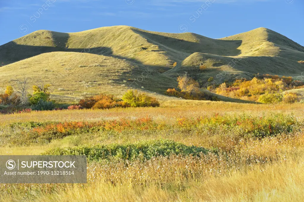 Hills in autumn Saskatchewan Landing Provincial Park Saskatchewan Canada