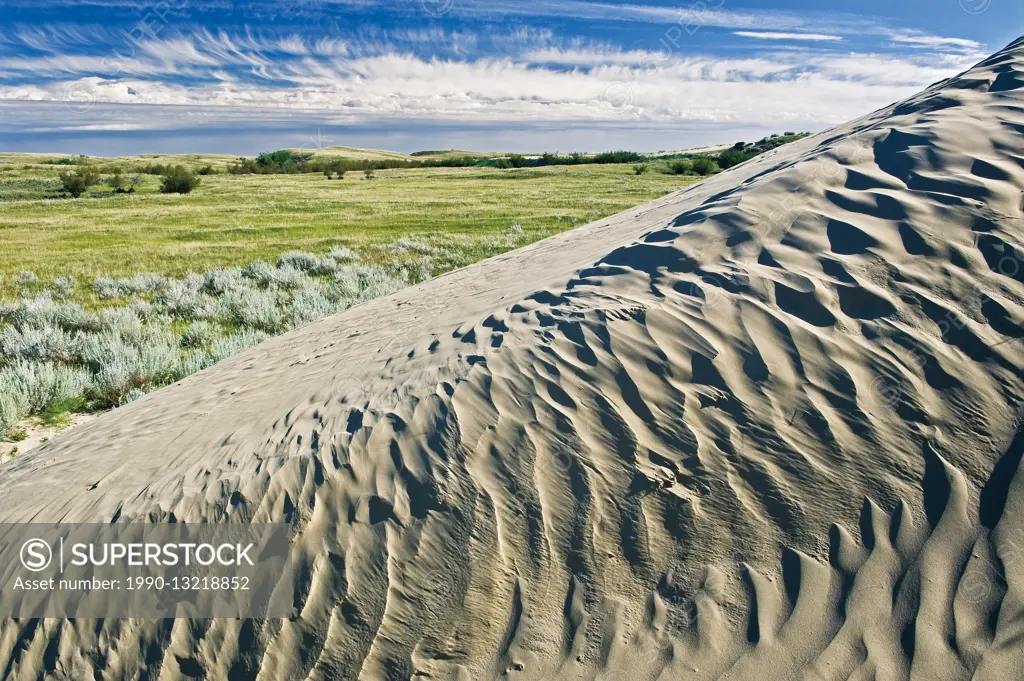Ripples, sand dunes and vegetation Great Sand Hills Saskatchewan Canada
