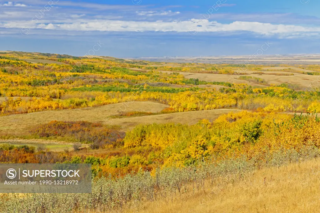 Autumn on the Canadian Prairie Baljennie Saskatchewan Canada