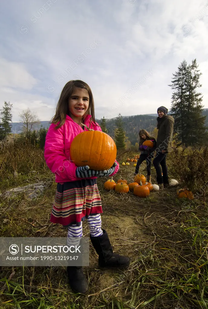 Mother and daughters selecting pumpkins in the pumpkin patch at Green Croft Gardens in Grindrod, in the Shuswap region of British Columbia, Canada. MR...