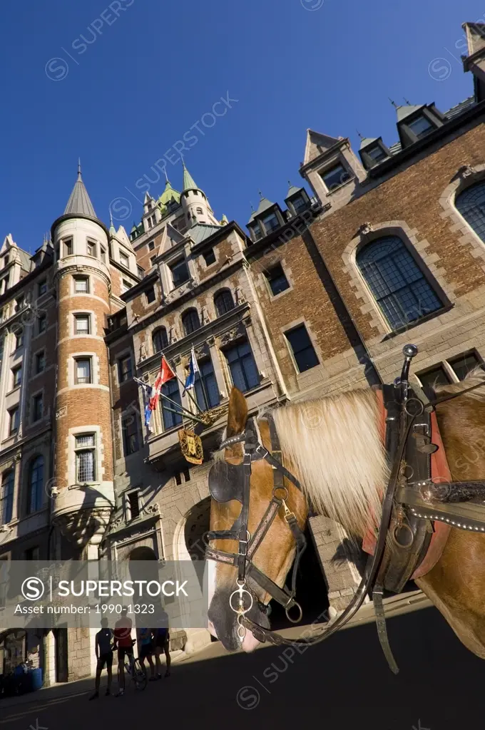 Chateau Frontenac Hotel, Quebec City, horse from carriage in foreground, Quebec, Canada
