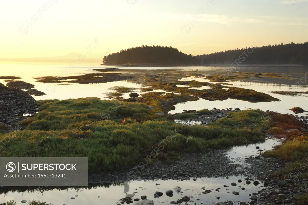 Early morning sunrise at Cabbage and Tumbo Islands off Saturna Island. Gulf Islands, British Columbia, Canada