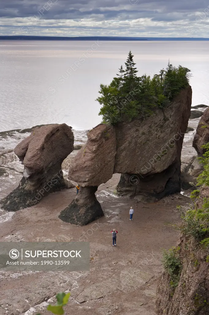 Flowerpot Rocks, Hopewell Rocks, Hopewell Cape, Shepody Bay, Chignecto Bay, Bay of Fundy, Albert, Highway 114, Fundy Coastal Drive, New Brunswick, Can...