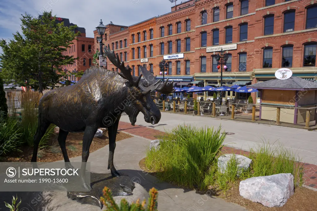 Statue of a moose in downtown Saint John, Highway 1, Fundy Coastal Drive, Bay of Fundy, New Brunswick, Canada.