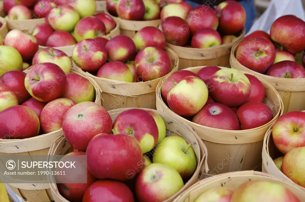 Local produce, apples, for sale at the Saturday Markets in downtown Fredericton, River Valley Scenic Drive, Highway 2, New Brunswick, Canada.
