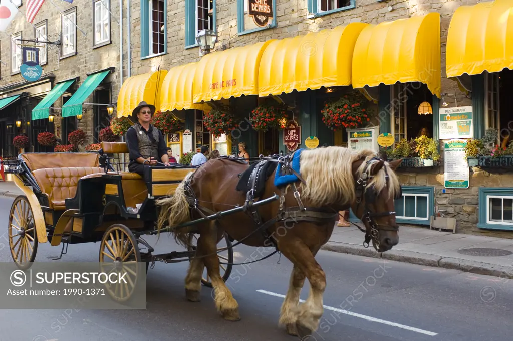 Horse drawn carriage along rue St  Louis, Quebec City, Quebec, Canada