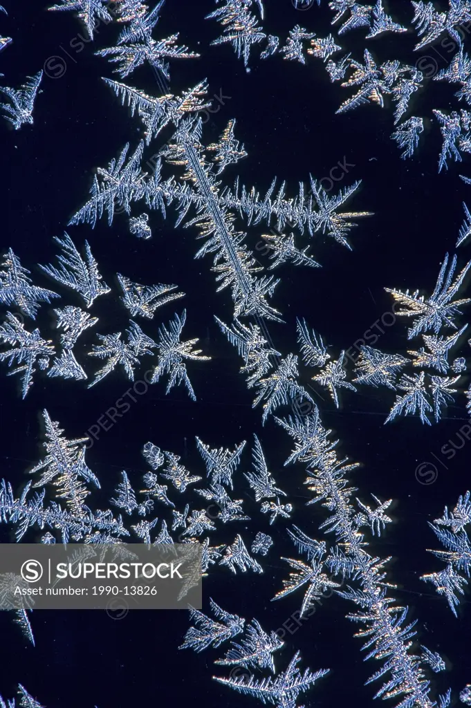 frost on window pane forming cross shape, Burnaby, British Columbia, Canada