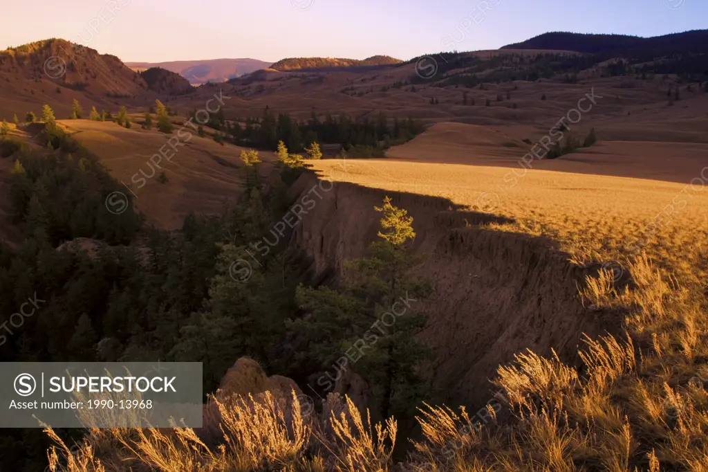 Grasslands at sunset in Churn Creek Protected Area, British Columbia, Canada