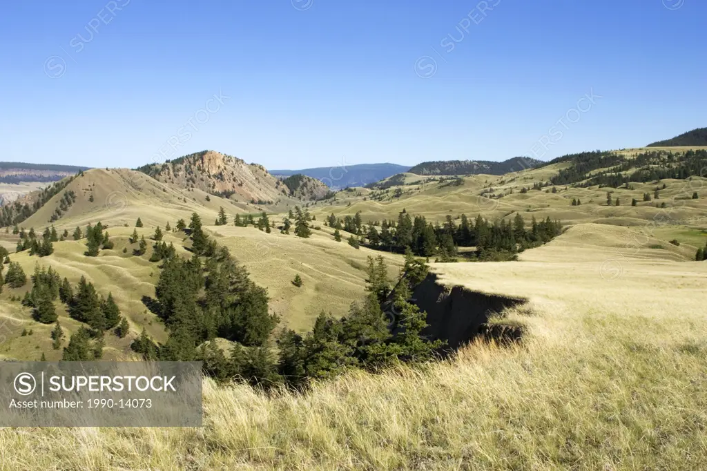 Grasslands in the Churn Creek Protected Area, British Columbia, Canada
