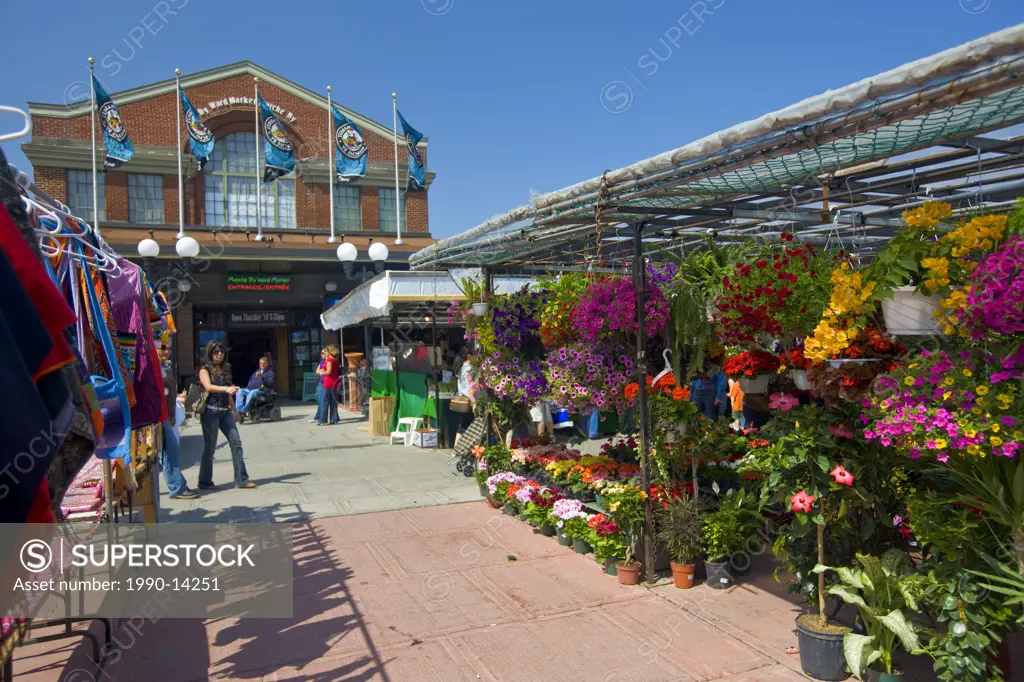 Outdoor flower market at the ByWard Market, Ottawa, Ontario, Canada