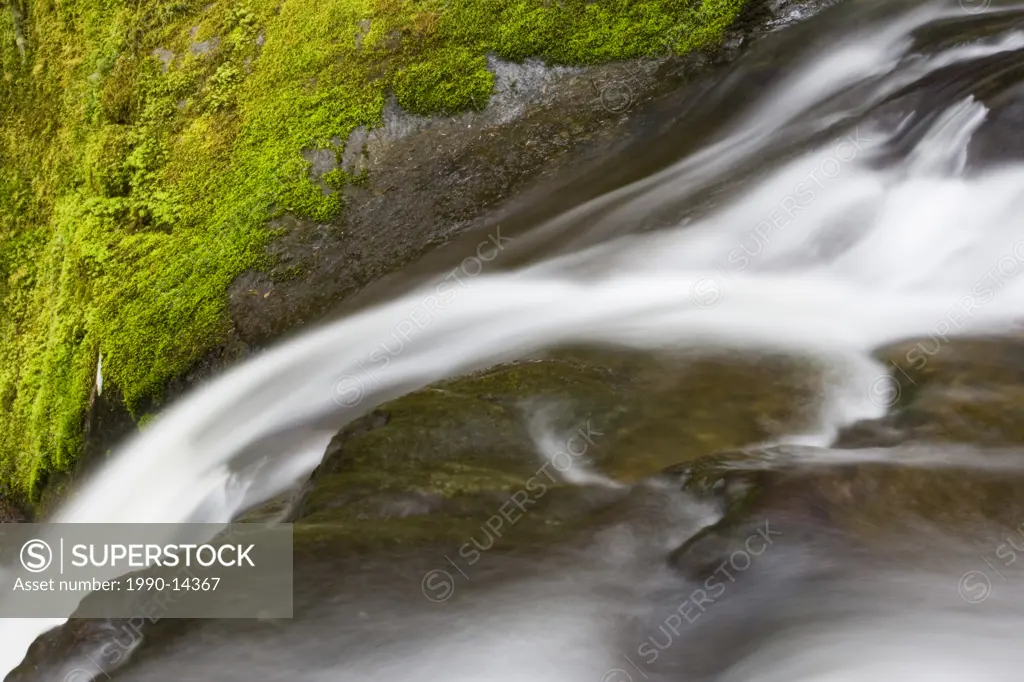 A mountain waterfall at Goldstream Provincial Park in Victoria, Vancouver Island, British Columbia, Canada