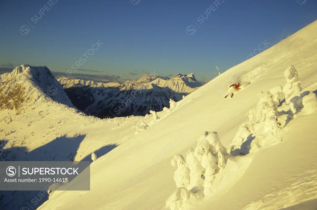 A skier aggressively making his way downhill in the backcountry in Fernie, British Columbia, Canada