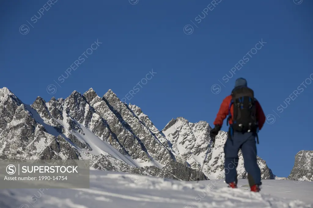 A skier uptracking at Rogers Pass, Glacier National Park, British Columbia, Canada