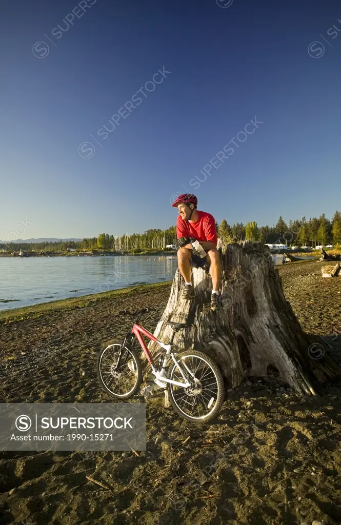 An old growth stump makes a nice perch for a mountain biker relaxing and enjoying the view of Georgia Strait, Black Creek, Vancouver Island, British C...