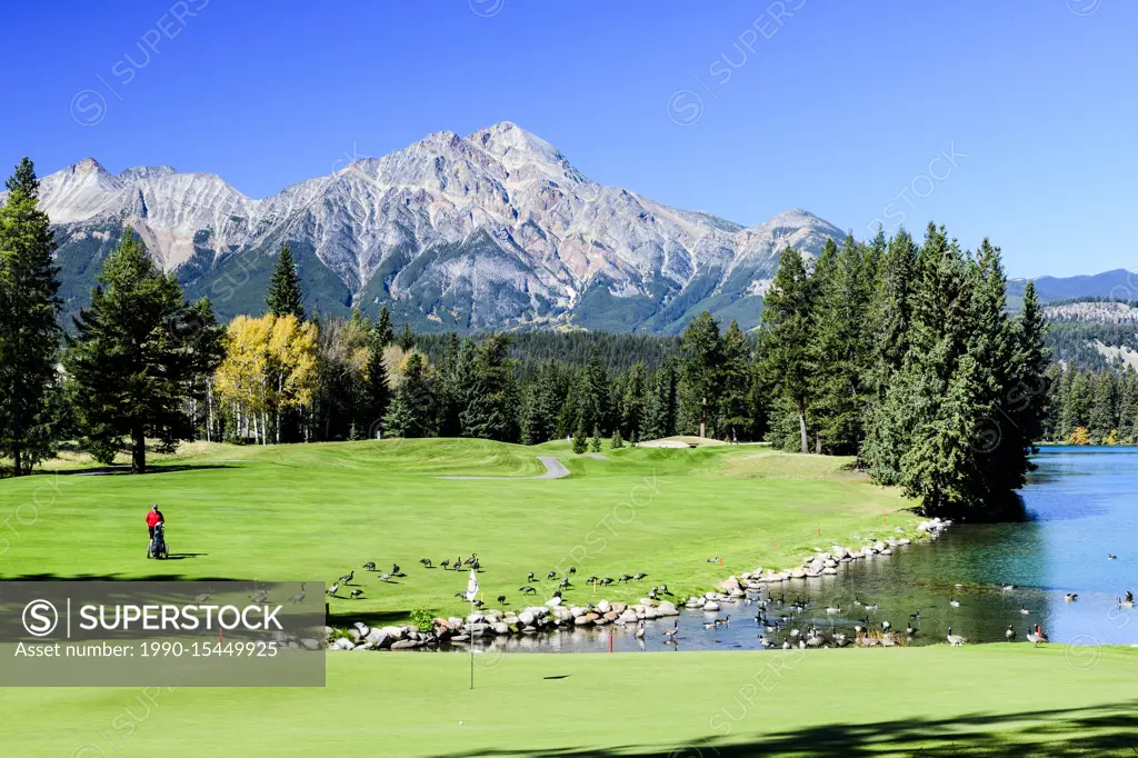 Golfers on the 16th green at the Fairmont Jasper Park Lodge Golf Club course in Jasper, Alberta. Pyramid Mountain is in the background
