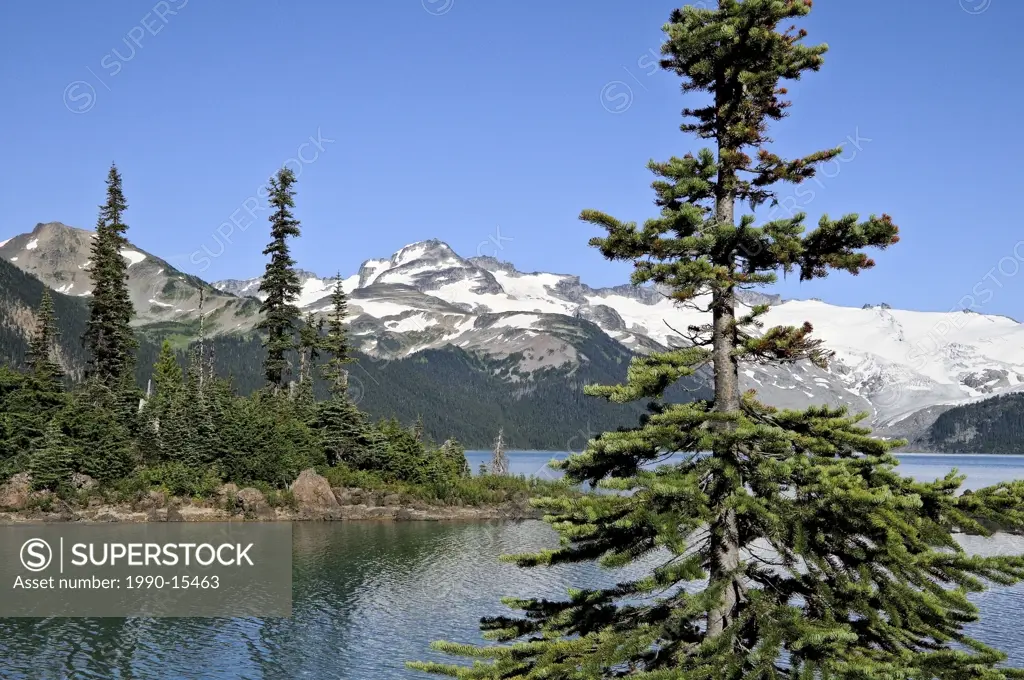Garibaldi Lake, Garibaldi Provincial Park, British Columbia, Canada