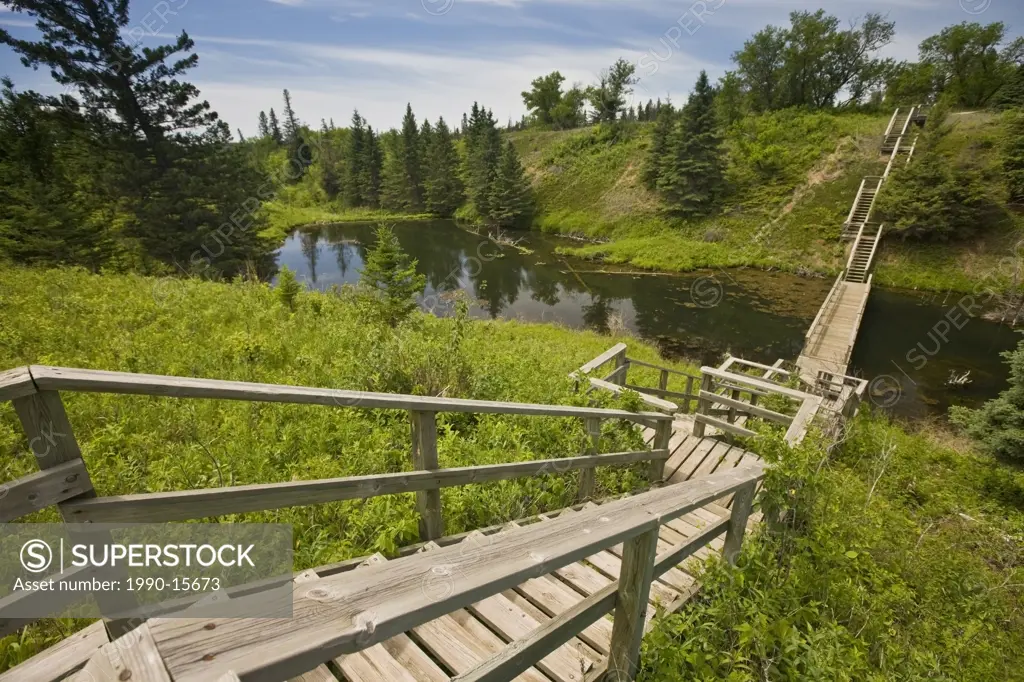 Wooden stairway in Devils Punch Bowl in the Spirit Sands, Spruce Woods Provincial Park, Manitoba, Canada