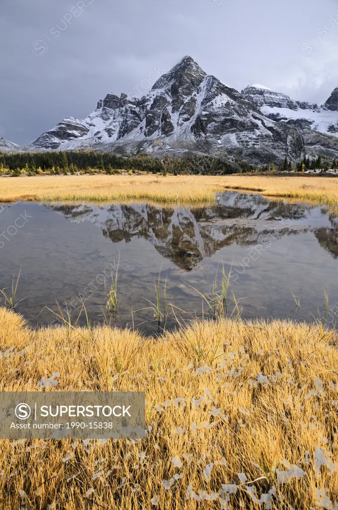 Wonder Peak reflected in pond, Mount Assiniboine Provincial Park, Rocky Mountains, British Columbia, Canada
