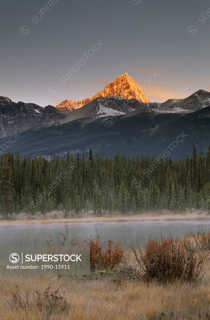 Mt. Edith Cavell from Fryatt Ponds, Jasper National Park, Alberta, Canada