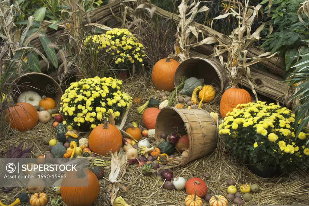 Halloween display, Niagara Parks Greenhouse, Niagara Falls, Ontario, Canada