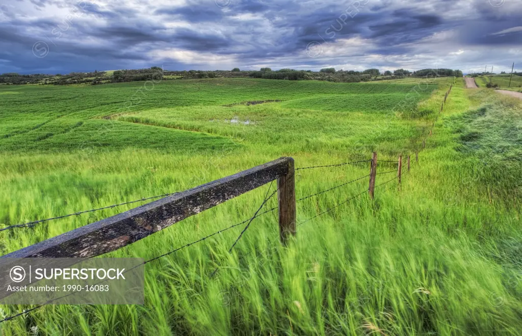 Fence and field with country road and storm clouds near Cochrane, Alberta, Canada