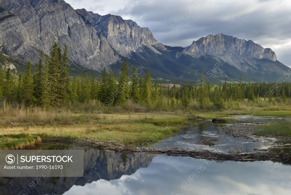 Mount Yamnuska, Many Springs, Bow Valley Provincial Park, Kananaskis Country, Alberta, Canada