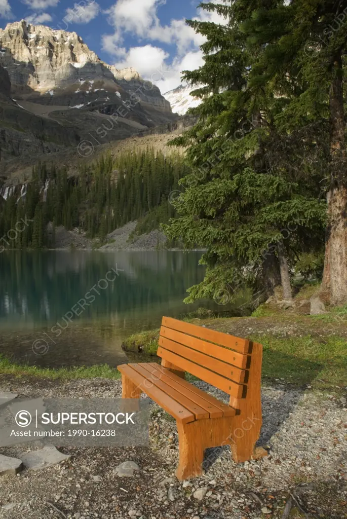 Bench, Lake O´Hara, Mount Lefroy, Yoho National Park, British Columbia, Canada