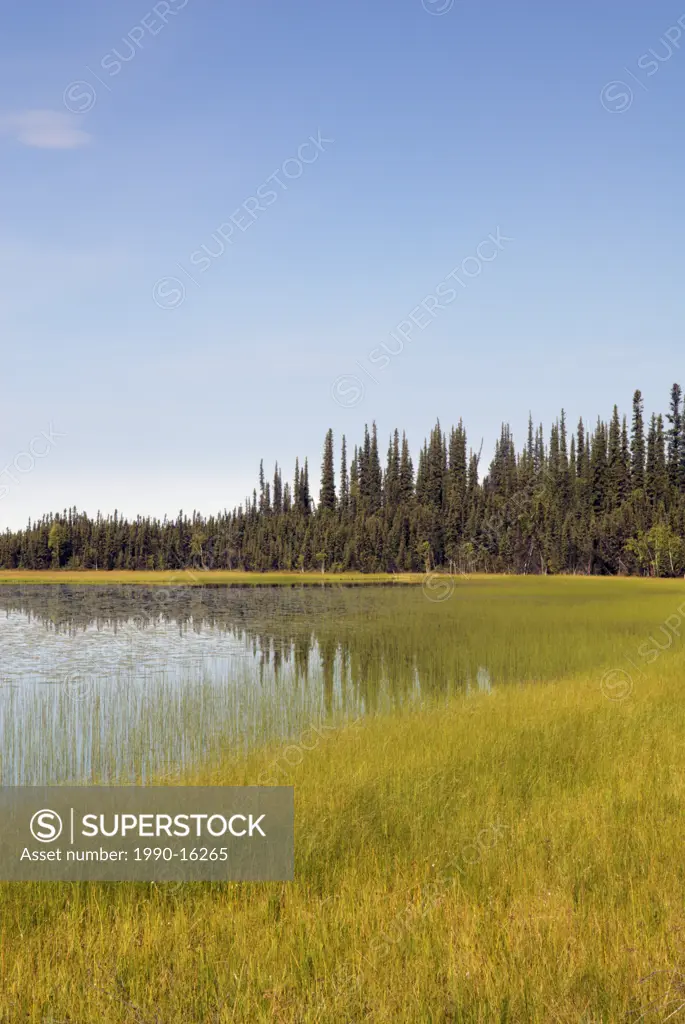 Deadman Lake, Tetlin National Wildlife Refuge, Alaska, United States of America