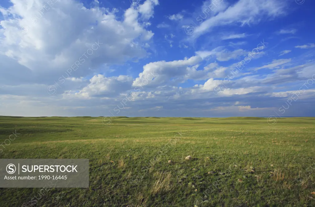 Ranchland pasture immediately south of Grasslands National Park on the Canadian Prairies near Val Marie, Saskatchewan, Canada