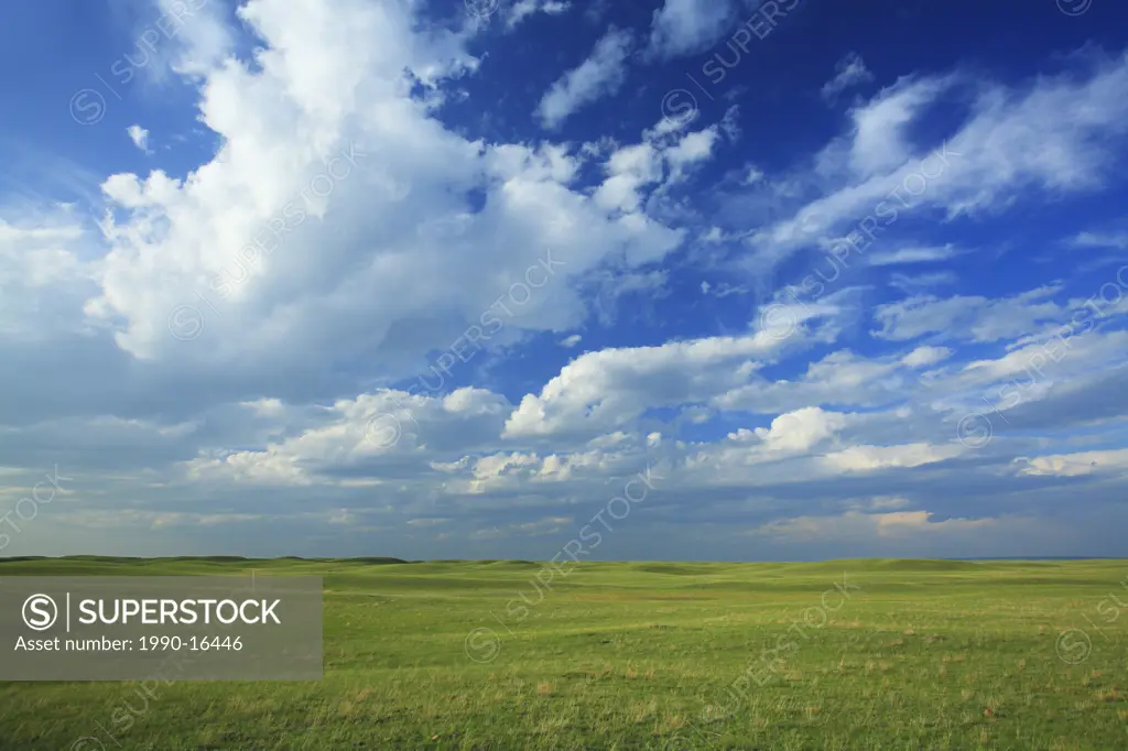 Private ranch pasture adjacent to Grasslands National Park near Val Marie, Saskatchewan, Canada
