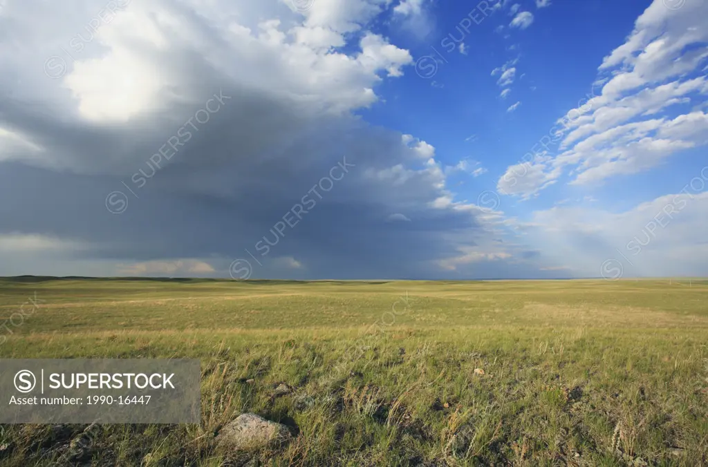 Private ranchlands directly south of Grasslands National Park near Val Marie, Saskatchewan, Canada