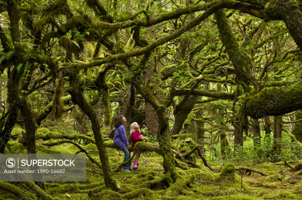 Two children in mossy forest, Naikoon Provincial Park, Queen Charlotte Islands, British Columbia, Canada